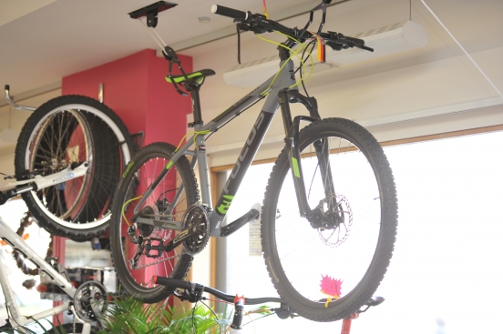 Magasin de vélo à Strasbourg Orangerie 