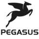 Pegasus
