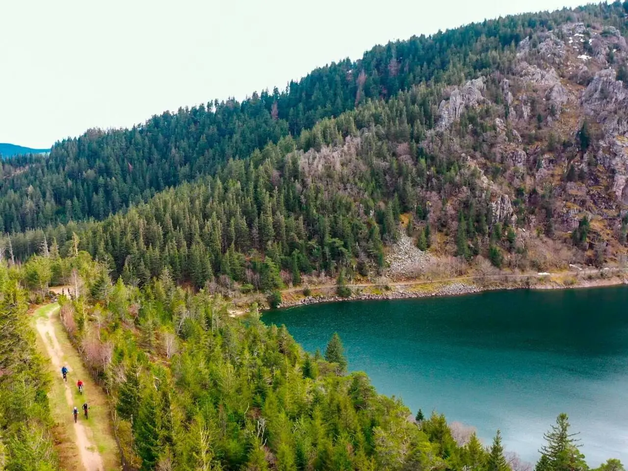 Bike and Run'In magasin de vélo à Colmar 